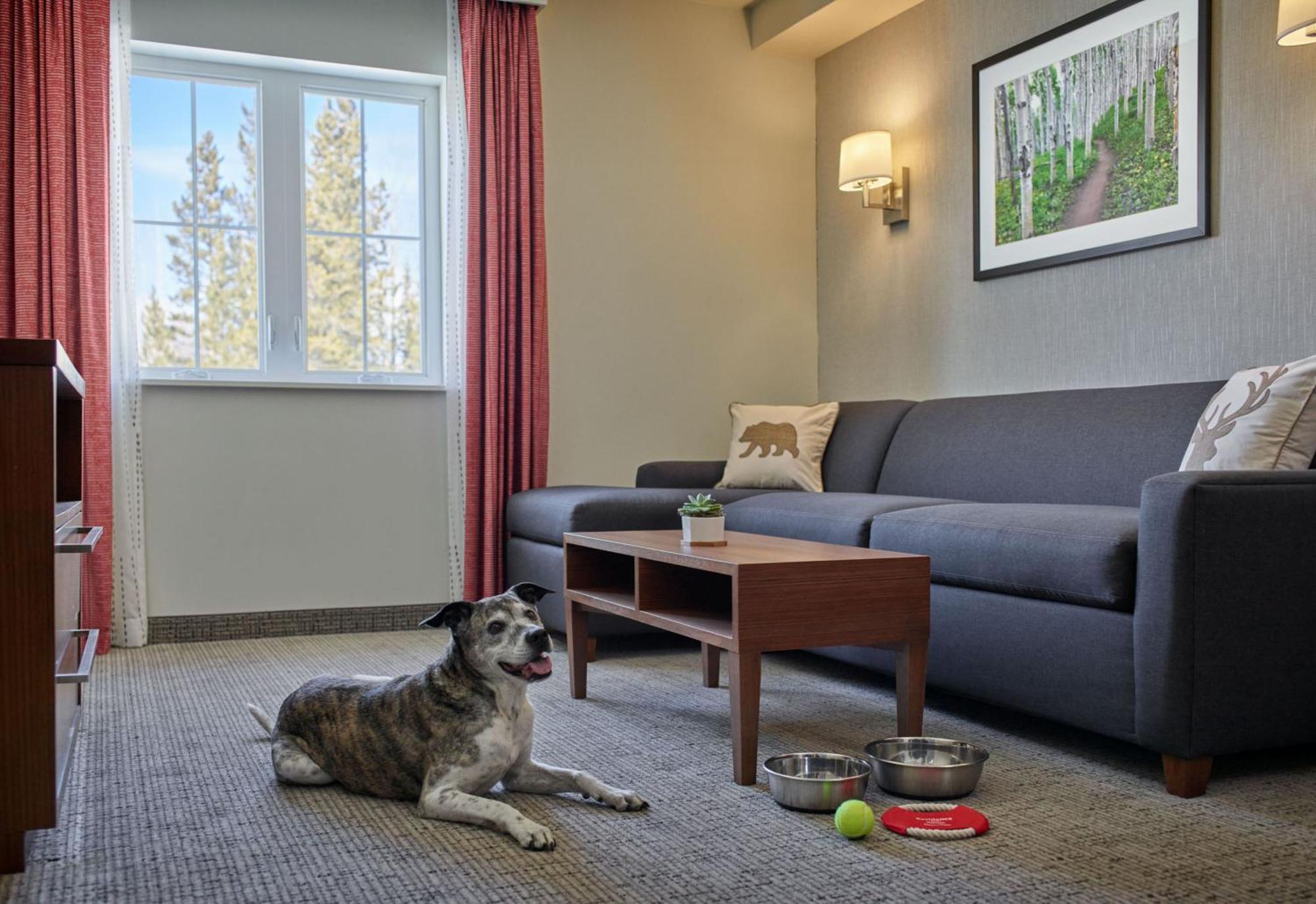 Residence Inn by Marriott Breckenridge Exteriör bild